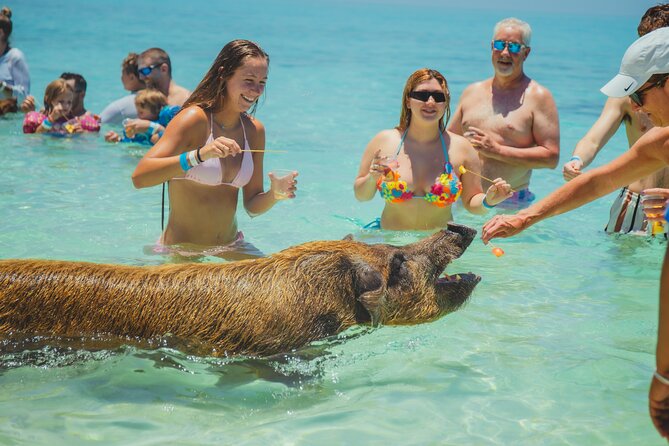 Guided All Inclusive Beach Day Excursion in Bahamas - Why Rose Island makes a good half-day escape