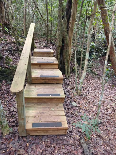 Guided Primeval Nature Walk Tour - Five Details That Shape the Experience