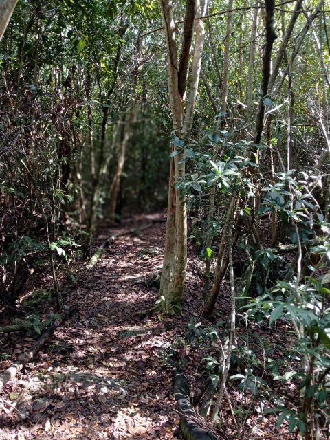 Guided Primeval Nature Walk Tour - Who Will Enjoy This Half-Day Route?