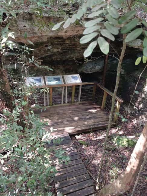 Guided Primeval Nature Walk Tour - Primeval Forest National Park, the Core of the Tour