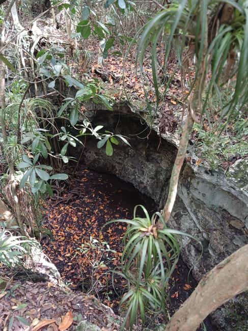 Guided Primeval Nature Walk Tour - Clifton Heritage and the Oldest Slave Village