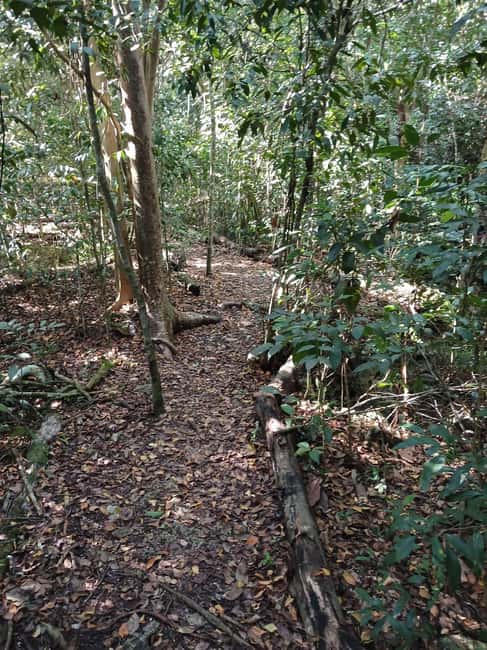 Guided Primeval Nature Walk Tour - Is $140 a Fair Price?