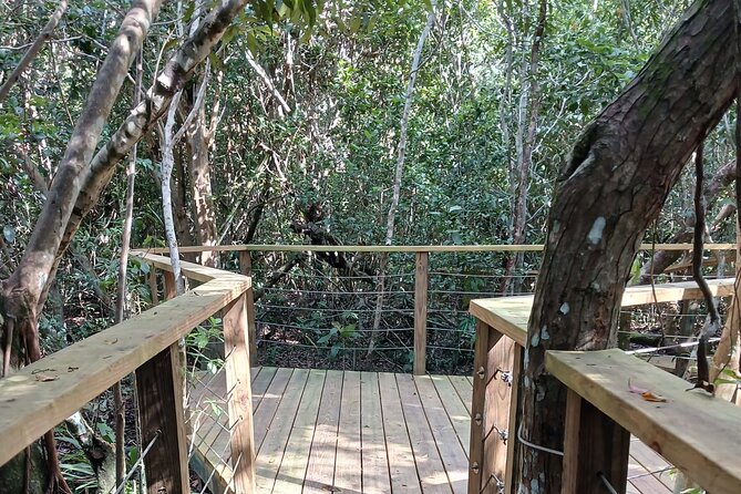 Guided Primeval Nature Walk Tour in Primeval Forest National Park - What this Nassau tour is really designed to do