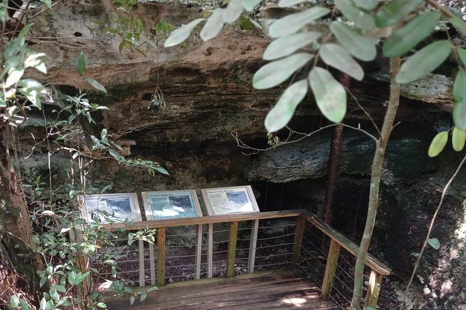 Guided Primeval Nature Walk Tour in Primeval Forest National Park - Clifton Heritage National Park and the Oldest Slave Village