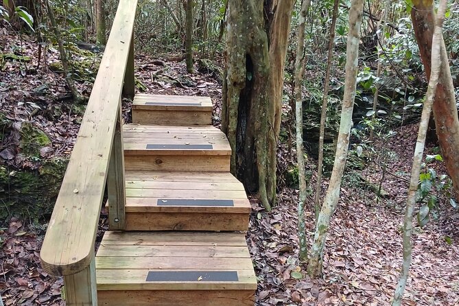 Guided Primeval Nature Walk Tour in Primeval Forest National Park - Arawak Cay, conch, and local food culture