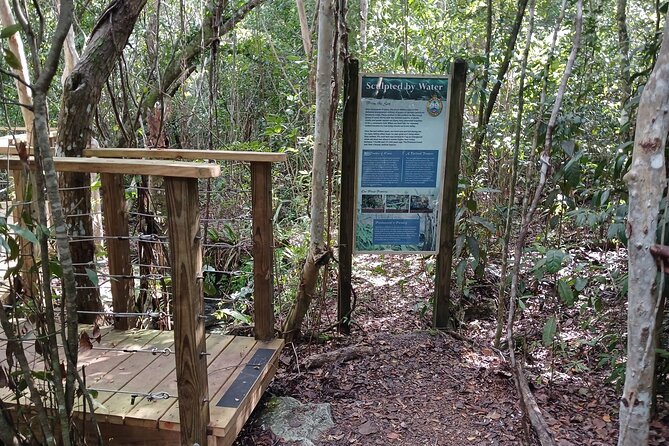 Guided Primeval Nature Walk Tour in Primeval Forest National Park - From Bay Street to the Caves of New Providence