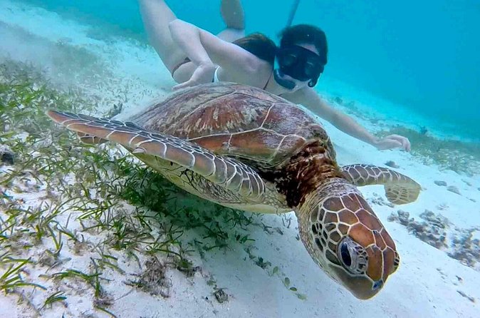 Half-Day at Green Cay Bahamas Snorkeling with Turtles - Captain Pedro and the crew shape the experience