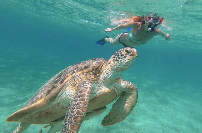 Half-Day at Green Cay Bahamas Snorkeling with Turtles - Is $1,500 a fair price for a private boat?