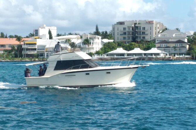 Half-Day at Green Cay Bahamas Snorkeling with Turtles - Pearl Island brings fish and coral first