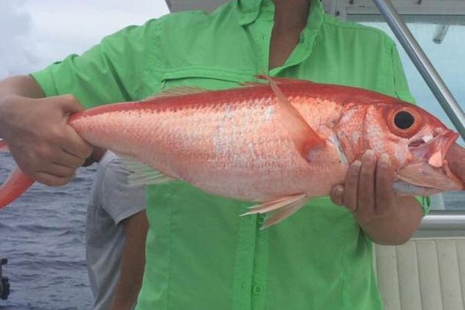 Half day Deep sea/light tackle fishing charters - Choosing between morning and afternoon departures