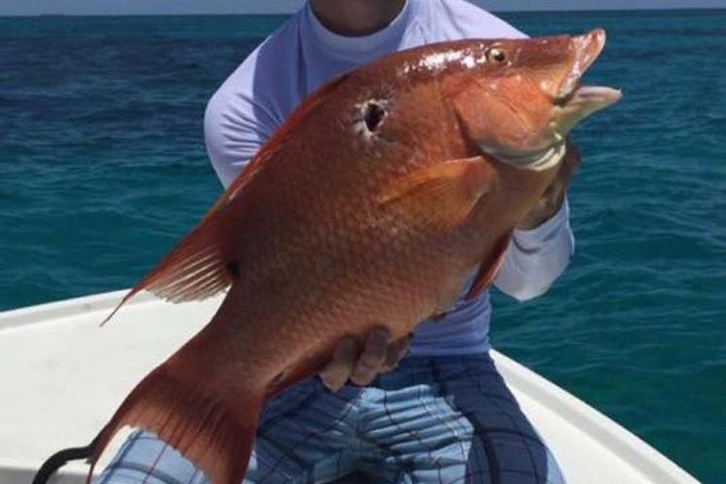 Half day Deep sea/light tackle fishing charters - The boat, crew, and private-group advantage