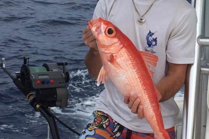 Half day Deep sea/light tackle fishing charters - Who will get the most from this trip