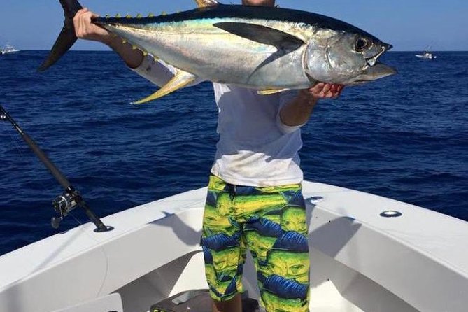 Half day Deep sea/light tackle fishing charters - Deep sea trolling for mahi, wahoo, and tuna