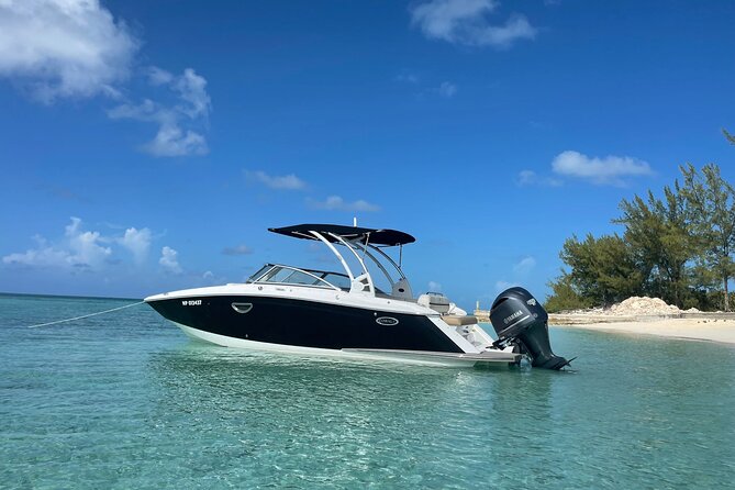 Half-Day Luxury Private Rose Island Pigs and Turtles Excursion - A private start at Bayshore Marina