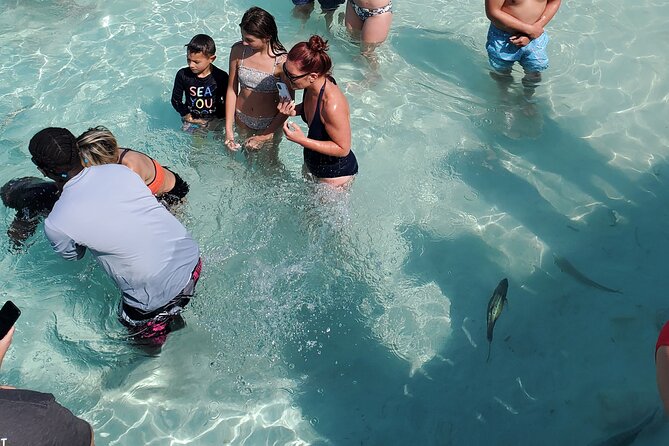 HALF DAY Swiming Pigs and Sharks Tour (Nassau to Exuma by Plane) - Why this Nassau to Exuma trip packs in so much