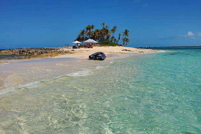HALF DAY Swiming Pigs and Sharks Tour (Nassau to Exuma by Plane) - Gaulin Cay and the Bahamian iguanas
