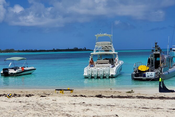 HALF DAY Swiming Pigs and Sharks Tour (Nassau to Exuma by Plane) - Great Exuma and lunch in Black Point