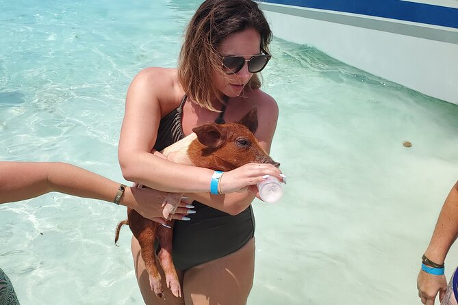 HALF DAY Swiming Pigs and Sharks Tour (Nassau to Exuma by Plane) - The small-plane flight to Staniel Cay