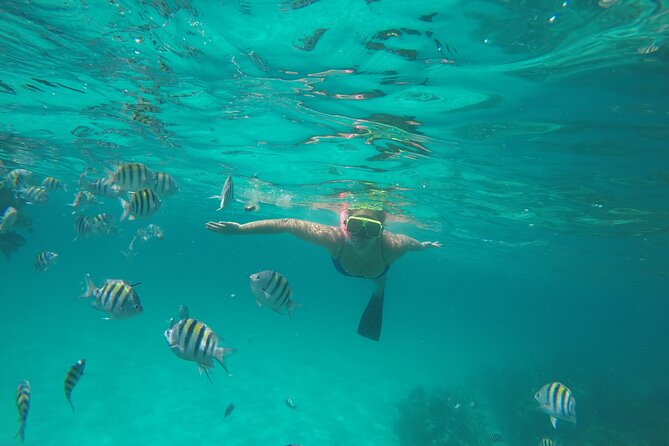 Half Day Swimming Pigs on Rose Island, Snorkeling and Lunch - Lunch, drinks, and a beach chair at Footprints