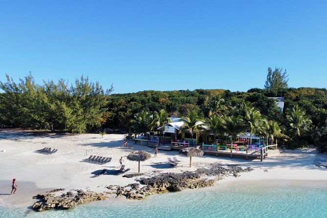 Half Day Swimming Pigs on Rose Island, Snorkeling and Lunch - Green Cay turtle spotting from the boat