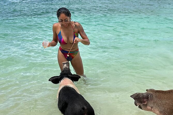 Luxury Catamaran Cruise: Sip, Sail, Snorkel, and Swim with Pigs! - Key points to know before booking