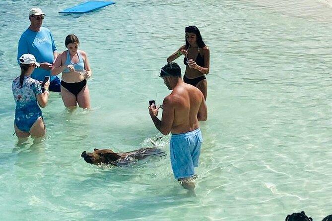 Luxury Catamaran Cruise: Sip, Sail, Snorkel, and Swim with Pigs! - Food, music, and the party level