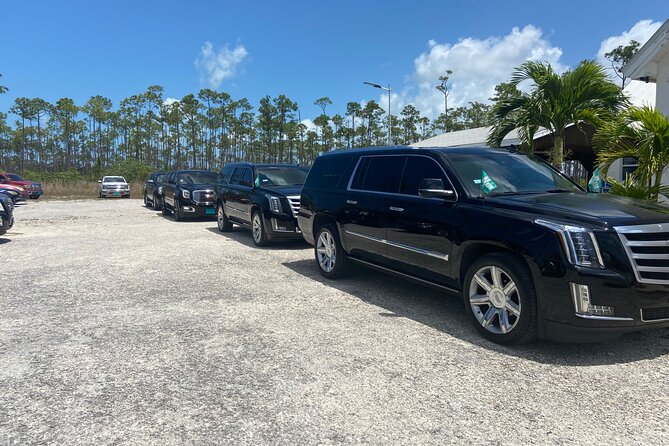Luxury SUV Transfer from Airport, cruise port, Celebration Key - Who will find this useful