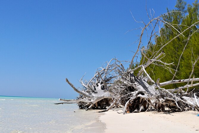 Mamma Gal Celeb-Key Native Exp. Shared Tour - Leaving Celebration Key for a more local view