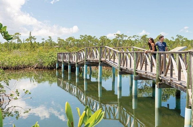 Mamma Gal Celeb-Key Native Exp. Shared Tour - Is $80 a fair price?