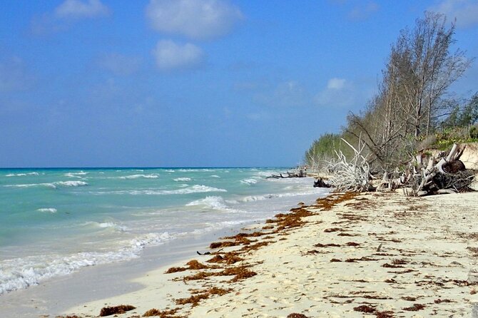 Mamma Gal Celeb-Key Native Exp. Shared Tour - Who will enjoy this outing most?