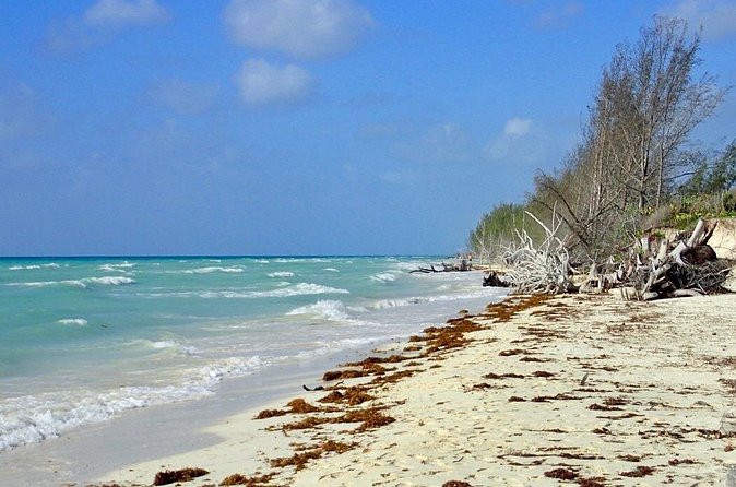 Mamma Gal Celeb-Key Native Exp. Shared Tour - Weather, timing, and cruise-day planning