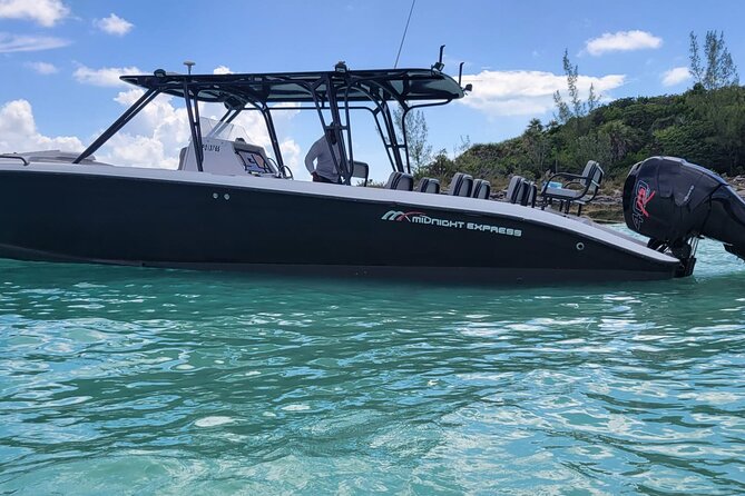 Nas: 3 islands Tour ,snorkel, Turtles, pigs and lunch - Green Turtle Cay and the snorkeling stop