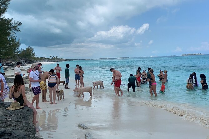Nas: 3 islands Tour ,snorkel, Turtles, pigs and lunch - The crew and the mood on board