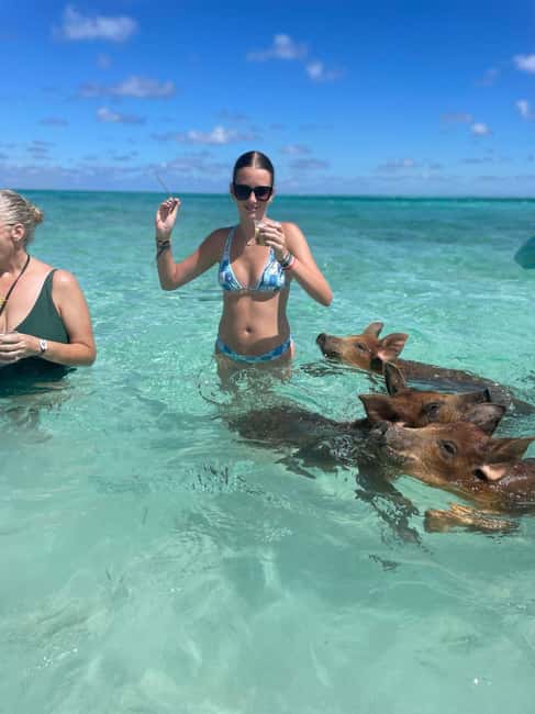 Nassau: 3-Island Snorkel Tour with Pigs, Beach Club, & Lunch - Who will enjoy this trip most?