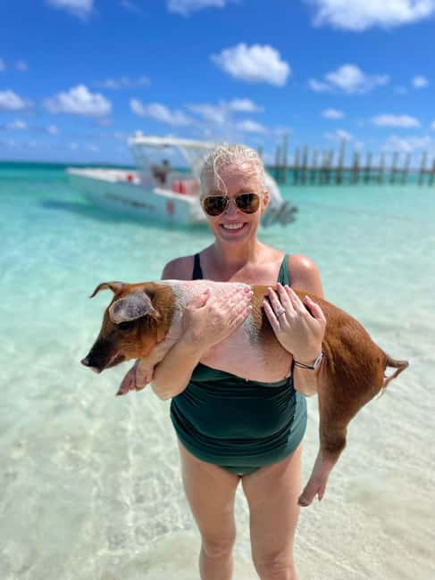 Nassau: 3-Island Snorkel Tour with Pigs, Beach Club, & Lunch - Rose Island private beach club and lunch
