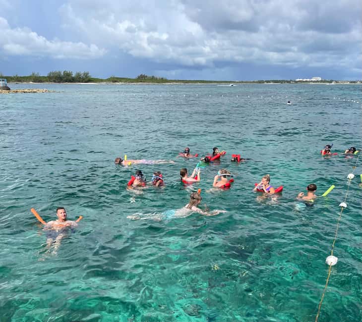 Nassau: 3 Islands Boat w/ Swimming Pigs, Snorkeling & Turtle - Is $175 good value?