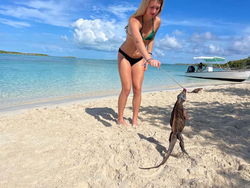 Nassau: 3 Islands Boat w/ Swimming Pigs, Snorkeling & Turtle - Who should book this experience?
