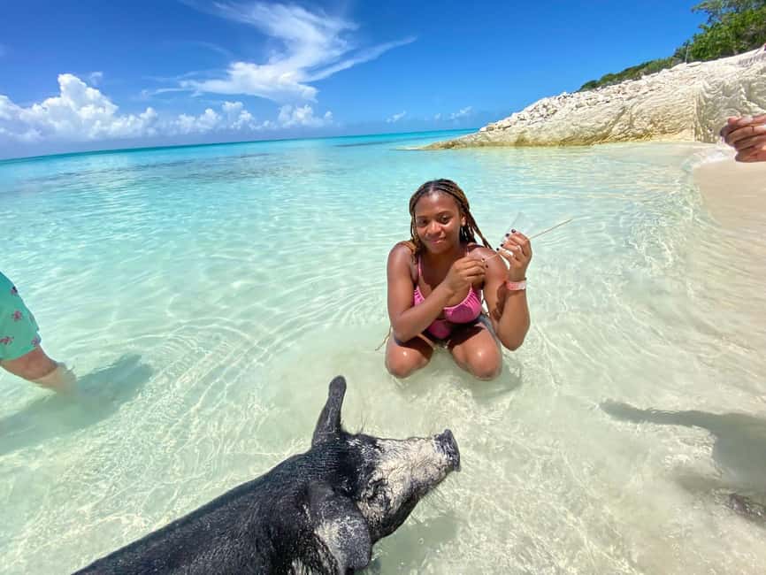 Nassau: 3 Islands Tour, Snorkel, Pig Beach, Turtles & Lunch - Key points to know before booking