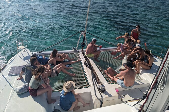 Nassau 3-stops: Snorkeling, Swimming Pigs, Turtles & Lunch - Green Cay and the search for sea turtles