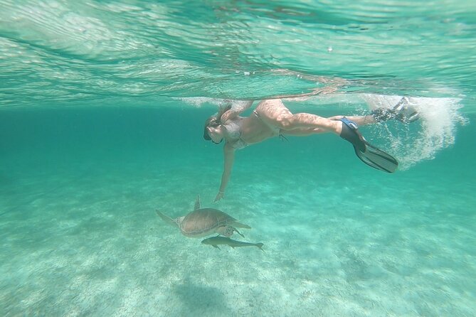 Nassau 3-stops: Snorkeling, Swimming Pigs, Turtles & Lunch - Is $168 a good value?