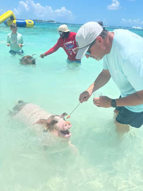 Nassau: 4-Island Tour Swimming Pigs, turtles, snorkeling - Key things to know before you book