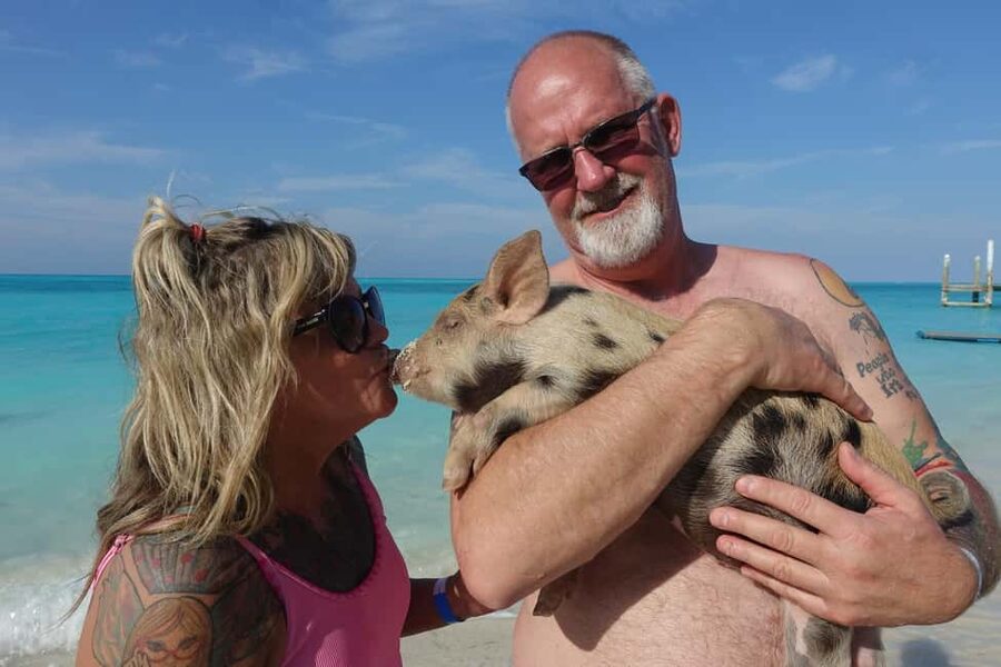 Nassau ATV & Swimming Pigs Tour - What this Nassau tour is really trying to do