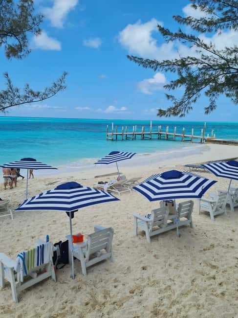 Nassau ATV & Swimming Pigs Tour - Arawak Cay and conch at the Fish Fry