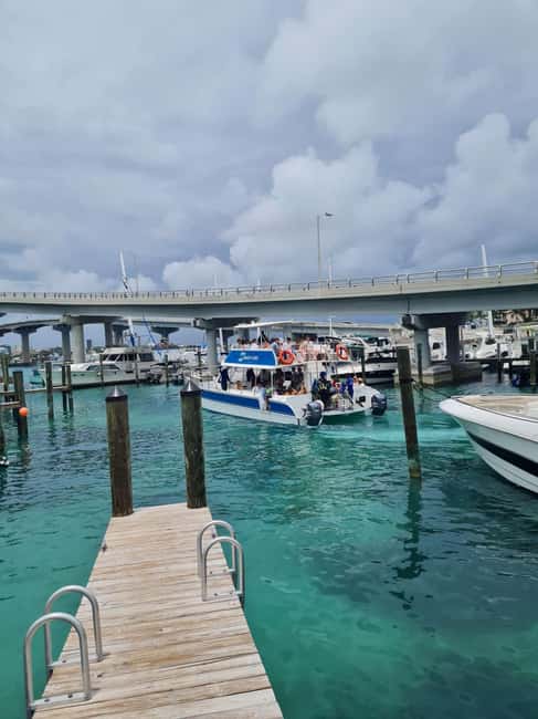 Nassau ATV & Swimming Pigs Tour - Rose Island beach time, drinks, and lunch