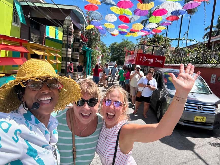 Nassau: Bahamas Culture Tour with Electric Trolley and Water - Government House and the National Art Gallery