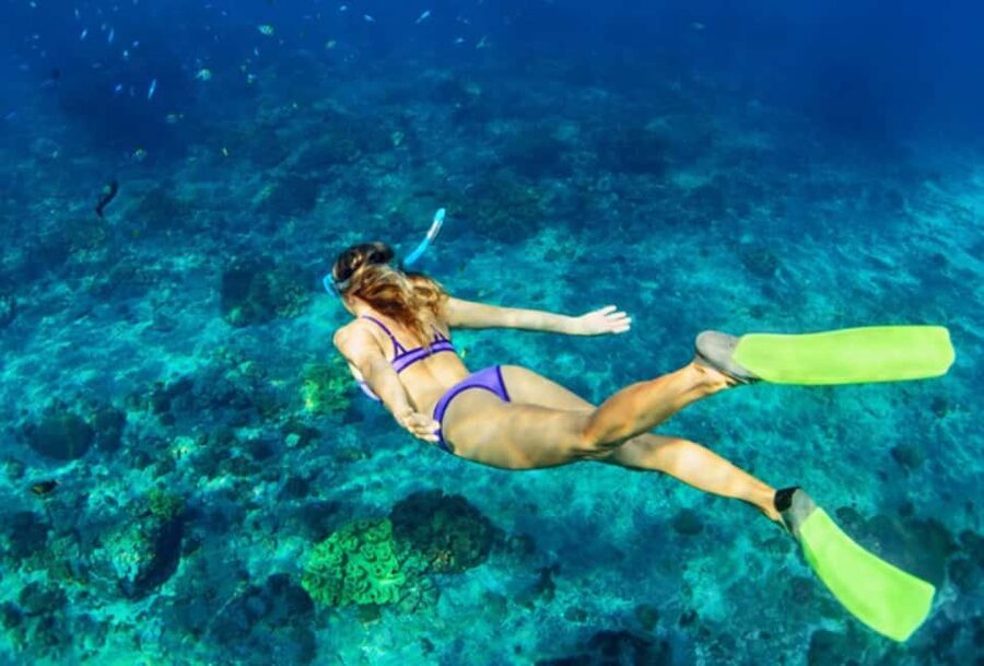 Nassau: Catamaran Sail and Snorkel Tour - Snorkeling around Athol Island or Spruce Cay