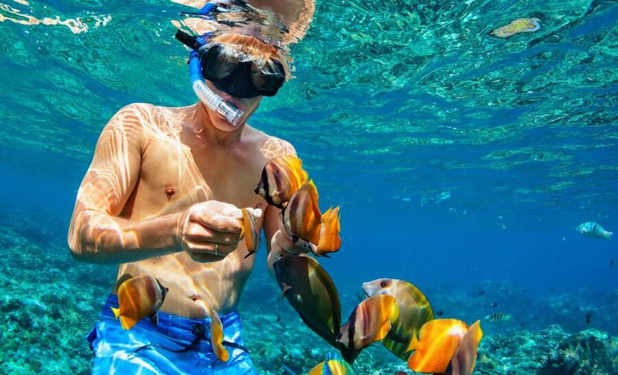 Nassau: Catamaran Sail and Snorkel Tour - What the water stop is like for beginners