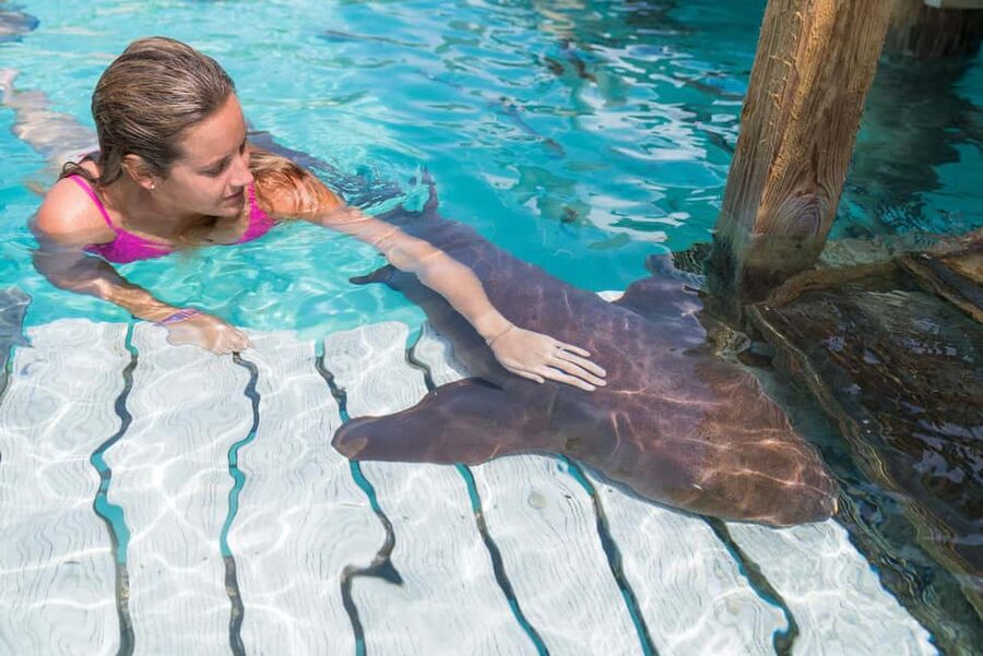 Nassau: Discover Exuma Island Hopping and Swimming Pigs Tour - Key points at a glance