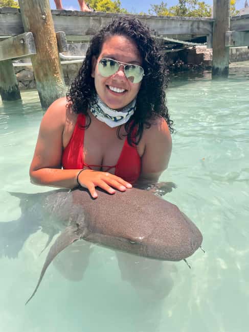Nassau: Discover Exuma Island Hopping and Swimming Pigs Tour - Allen’s Cay and its rare rock iguanas