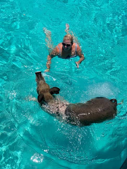 Nassau: Discover Exuma Island Hopping and Swimming Pigs Tour - A local lunch and a needed pause